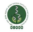 Nipcr