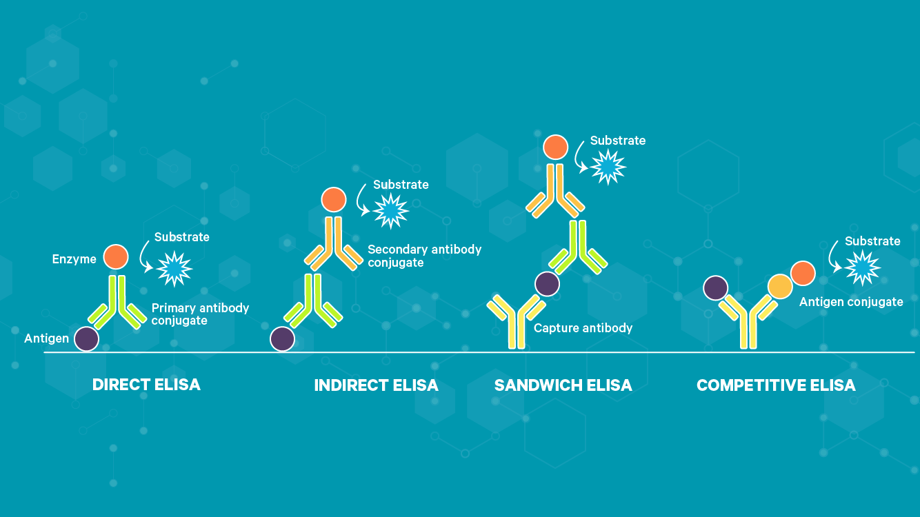 Elisa kit