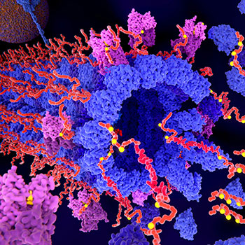 Proteomics