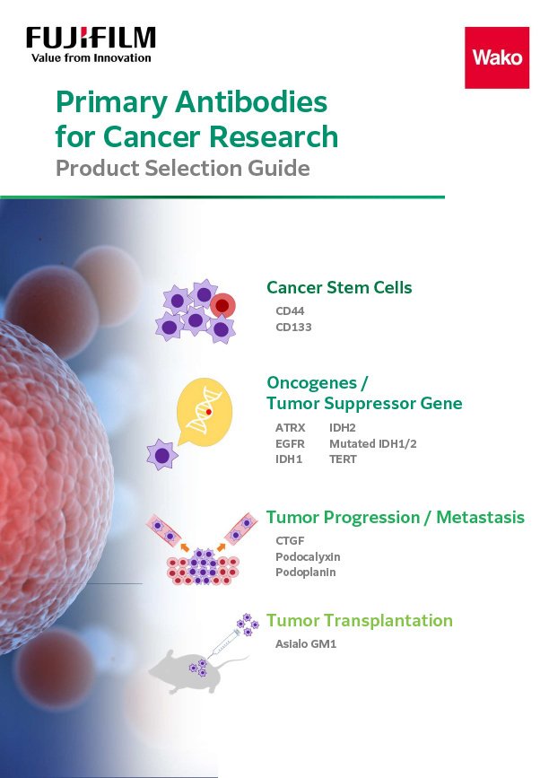 Primary Antibodies for Cancer Research Product Selection Guide